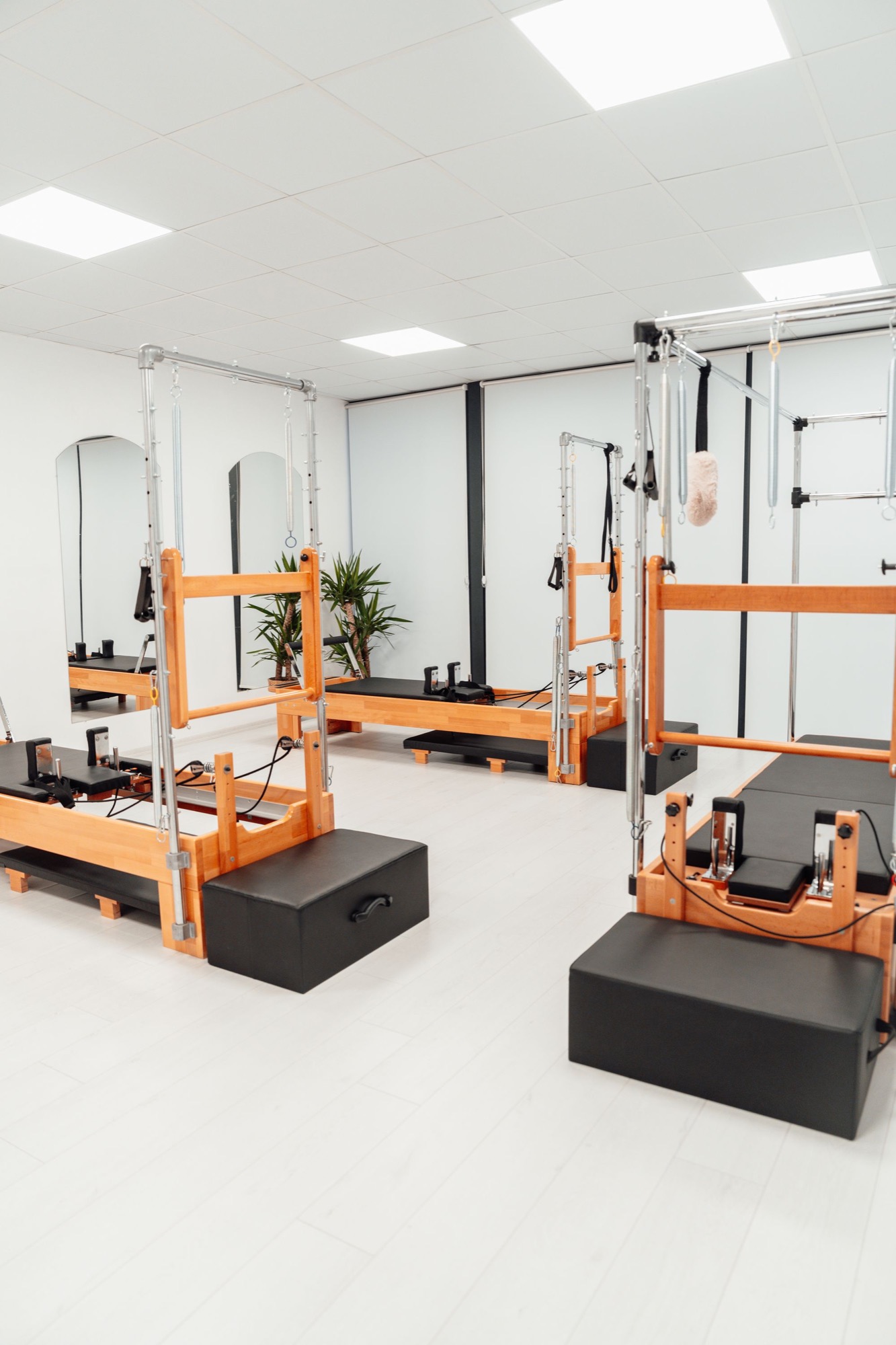 Wooden Pilates reformers arranged in a bright minimal studio